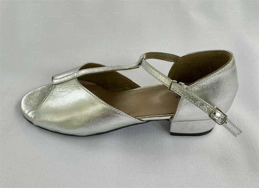 Standard Low Heel Ballroom Dance Shoes Karen K (Silver)