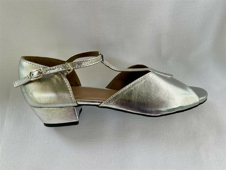 Standard Low Heel Ballroom Dance Shoes Karen K (Silver)