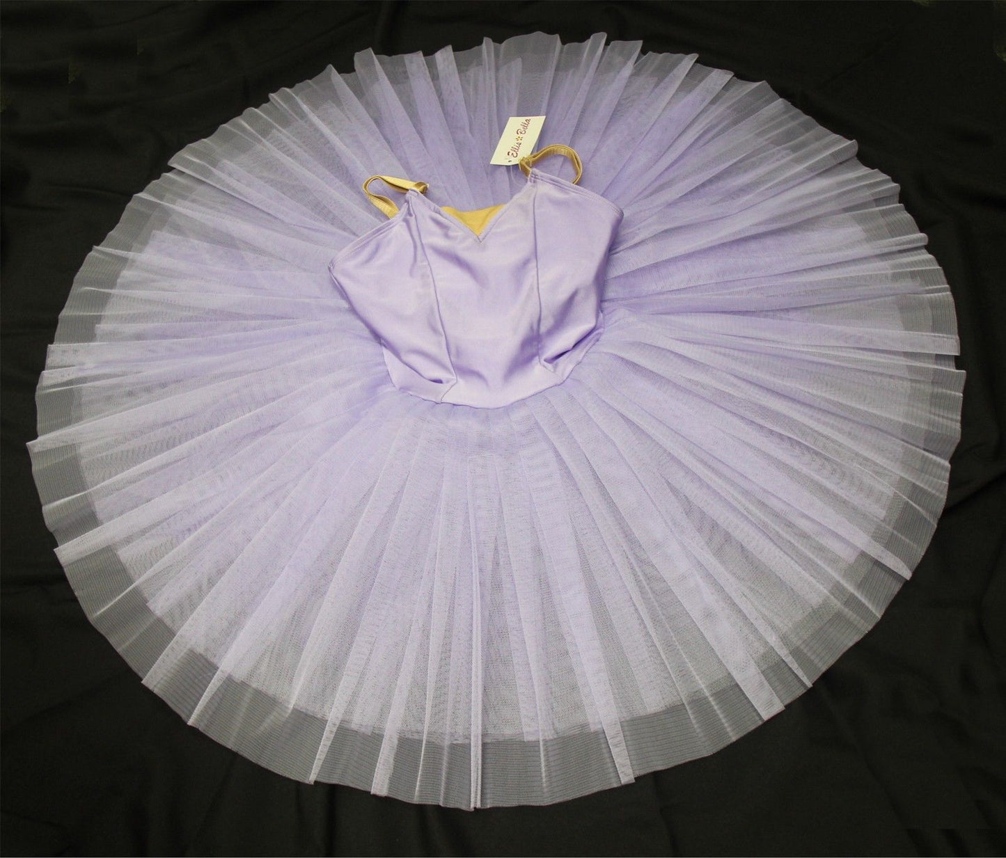 Ballet performance Tutu -- Tutu Pancaked